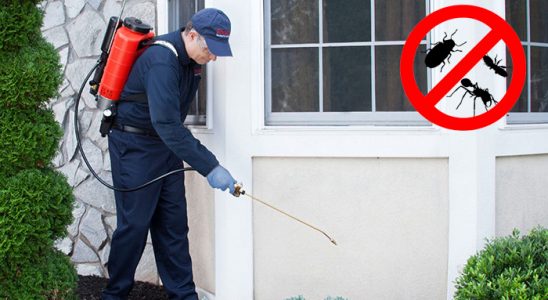 Hınıs Hamam Böceği İlaçlama böcek ilaçlama ve haşere kontrolü — ilaclama-tr.com